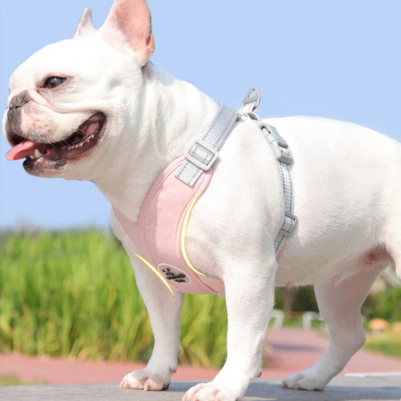 Reflective Pet Harness Rope Set