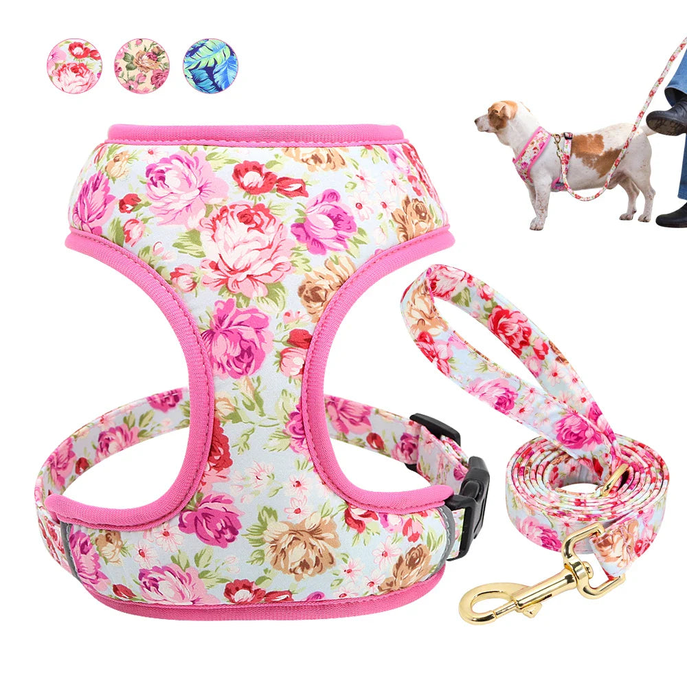 Cute Printed Pet Harness Set