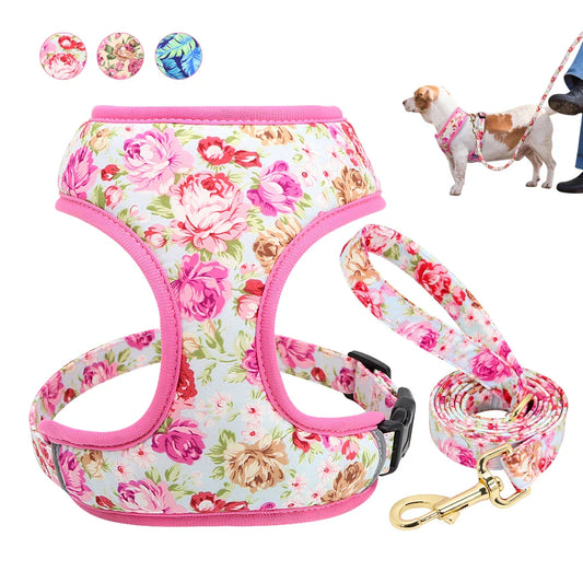 Cute Printed Pet Harness Set