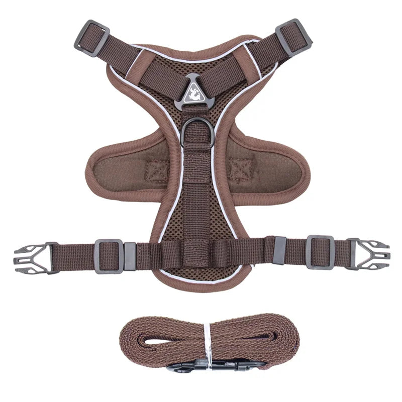 Reflective Mesh Cat Harness Set