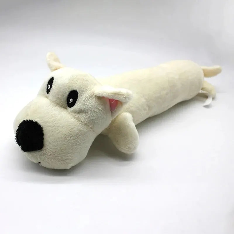 Interactive Squeaky Molar Dog Toy
