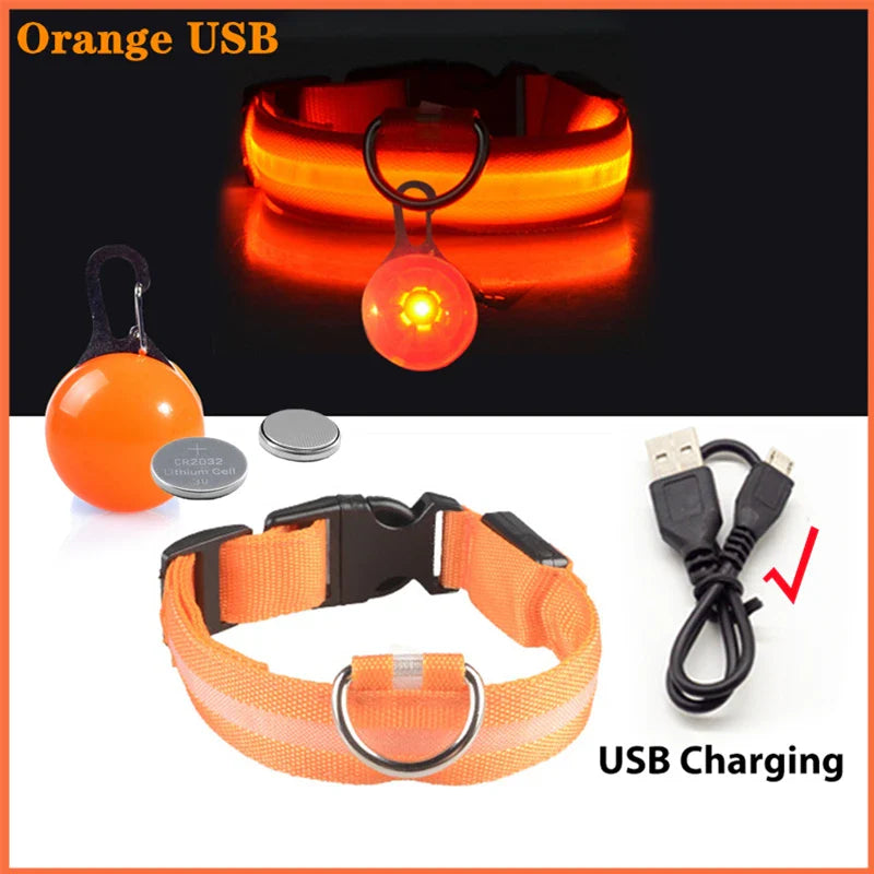 COOYOMOO USB Charging Glowing Dog Collar