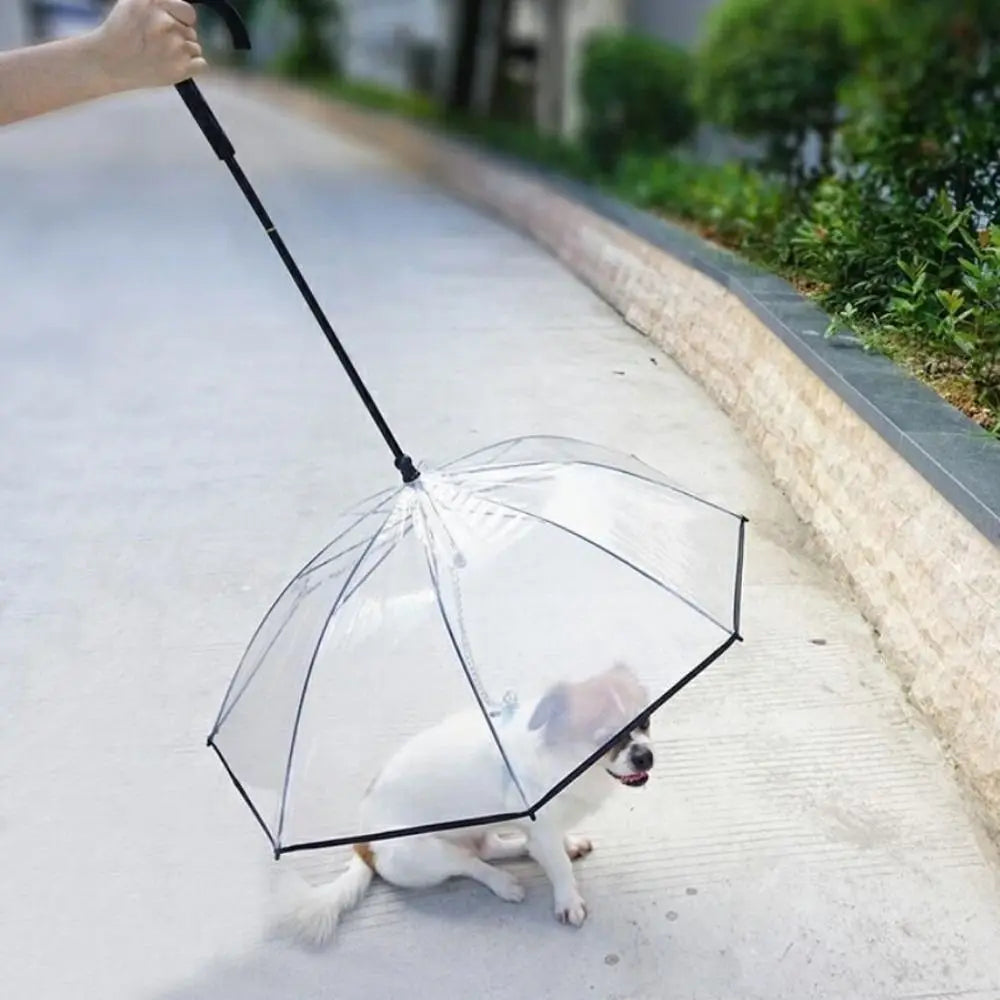 Clear Dog Umbrella with Leash