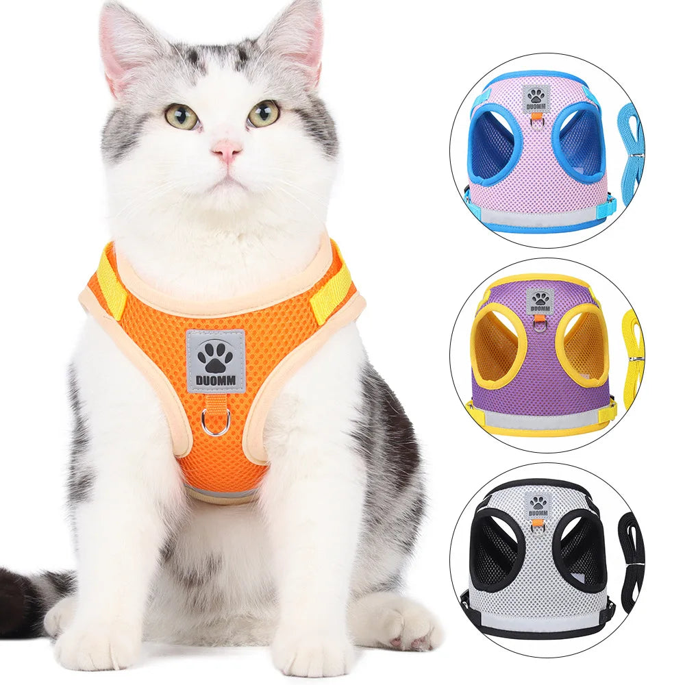 Breathable Summer Cat Harness Set
