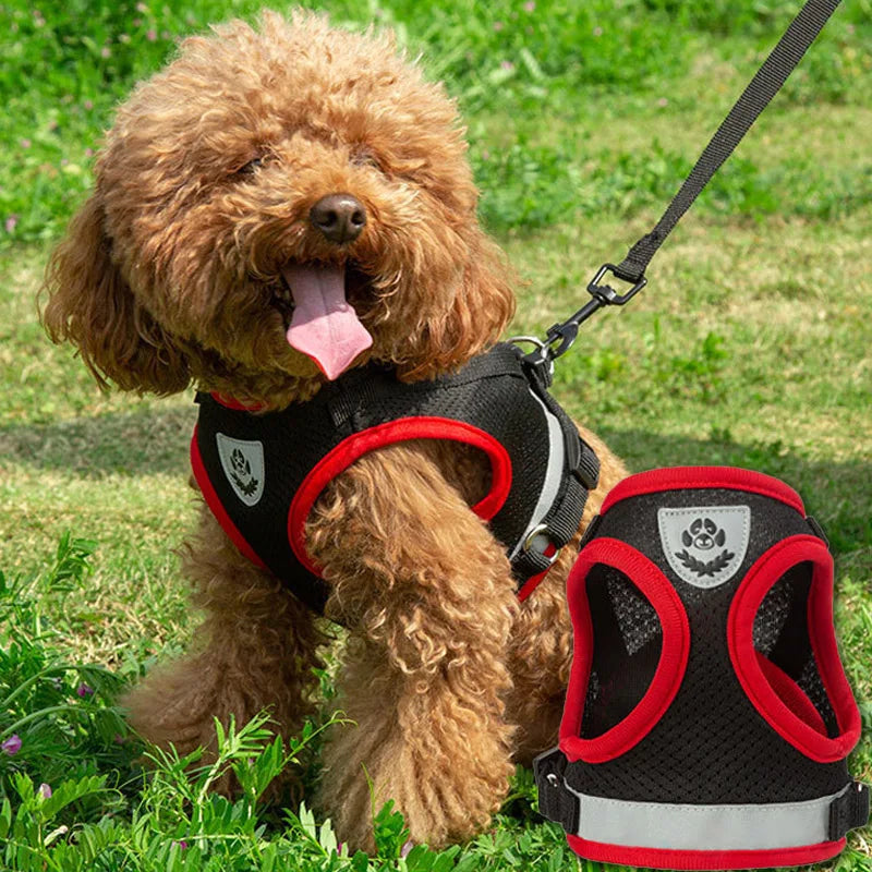 Adjustable Reflective Pet Harness