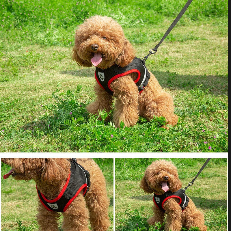 Reflective Pet Harness Vest Set