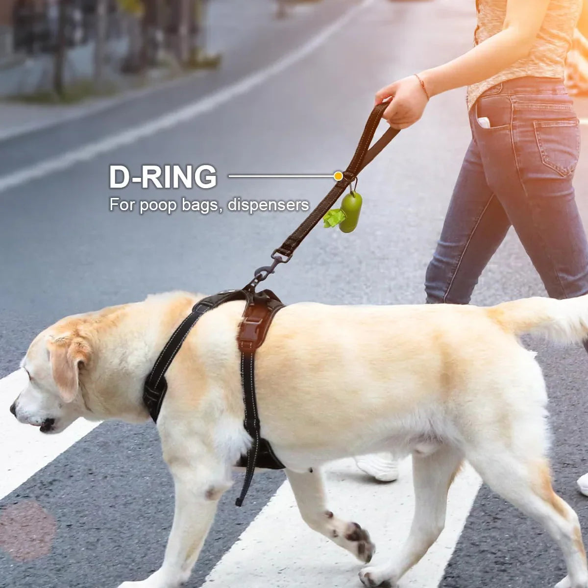 Taglory Heavy Duty Dog Leash