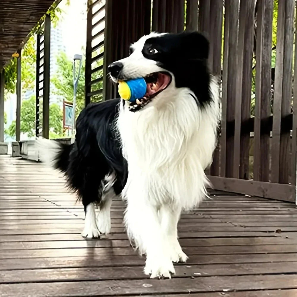 Durable Dog Chew Ball Toy
