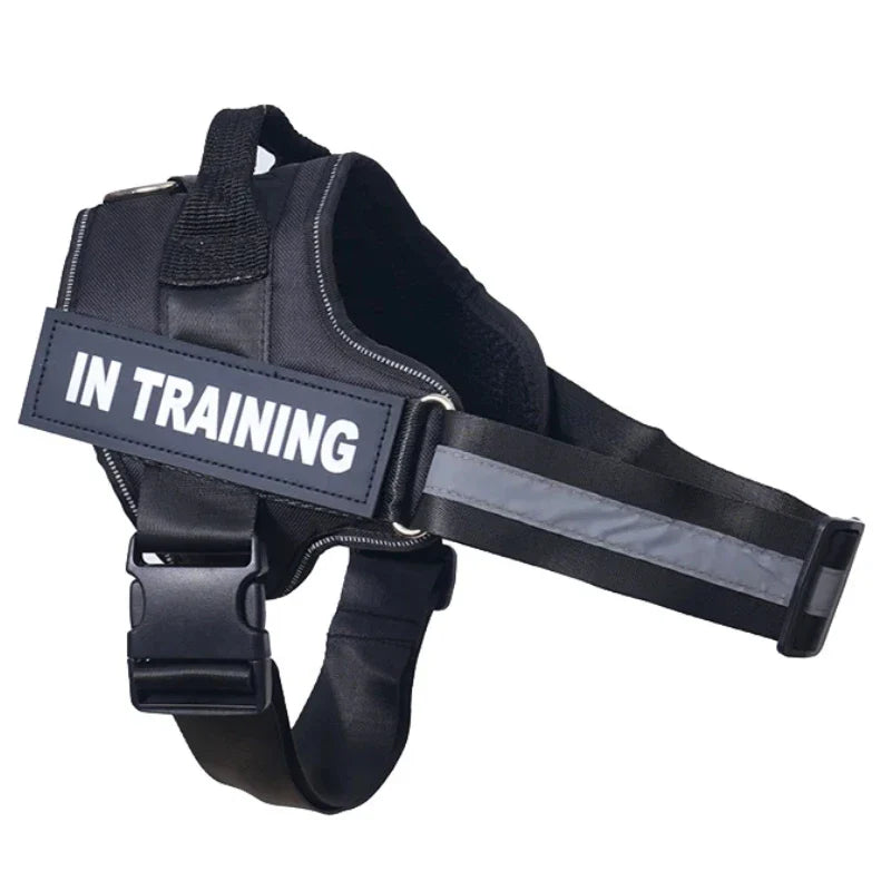 Personalized Reflective No-Pull Harness          Ask ChatGPT