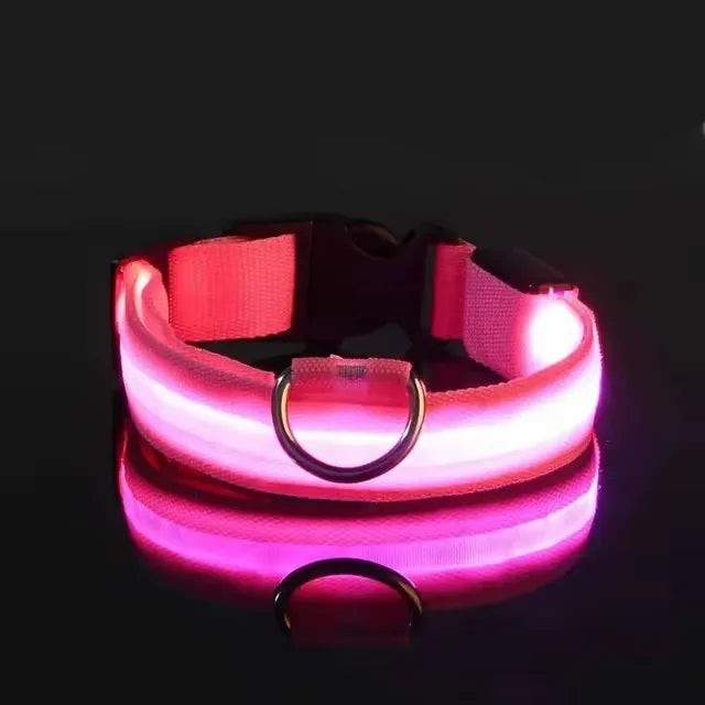 BOOTEELY LED Glow Dog Leash