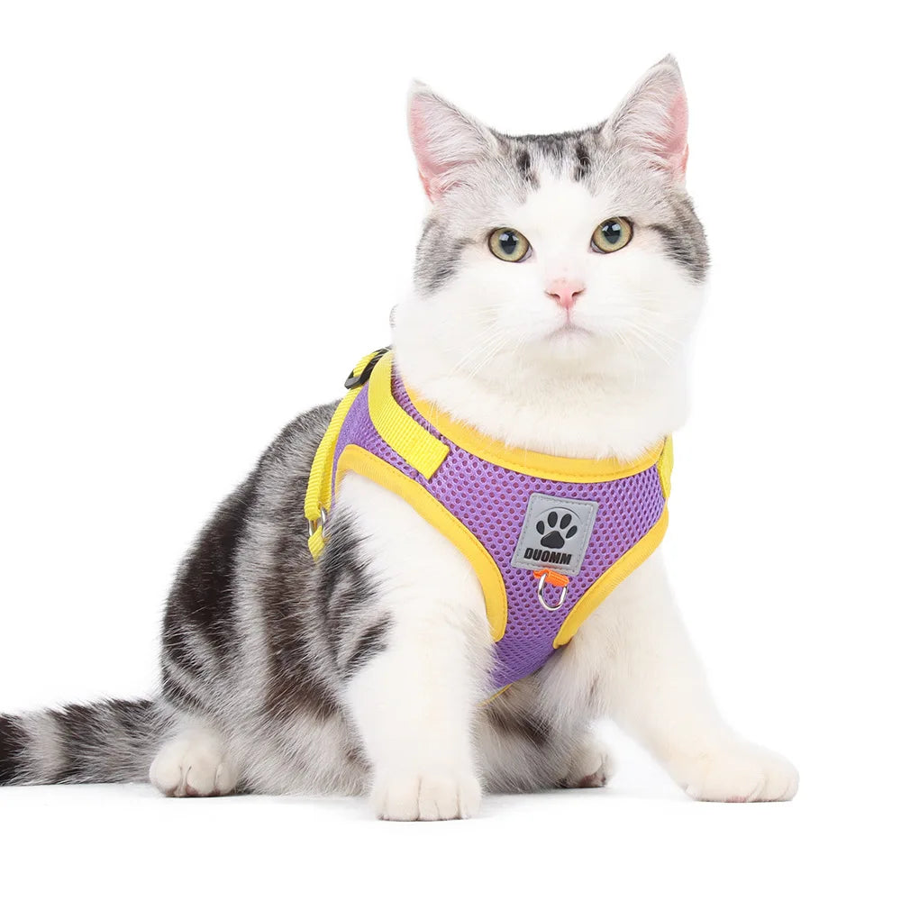 Breathable Summer Cat Harness Set