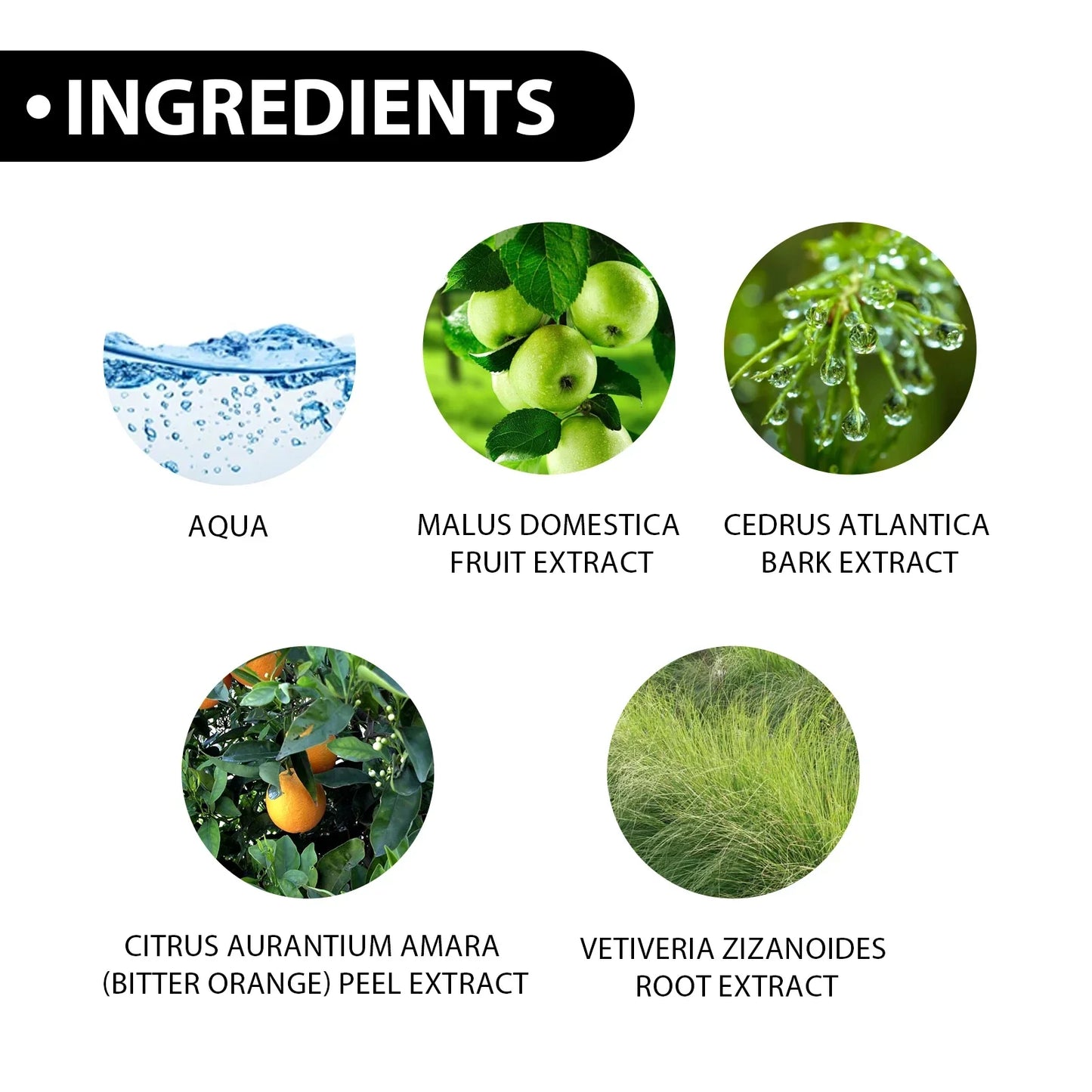 Men's Fresh & Elegant Eau De Perfume