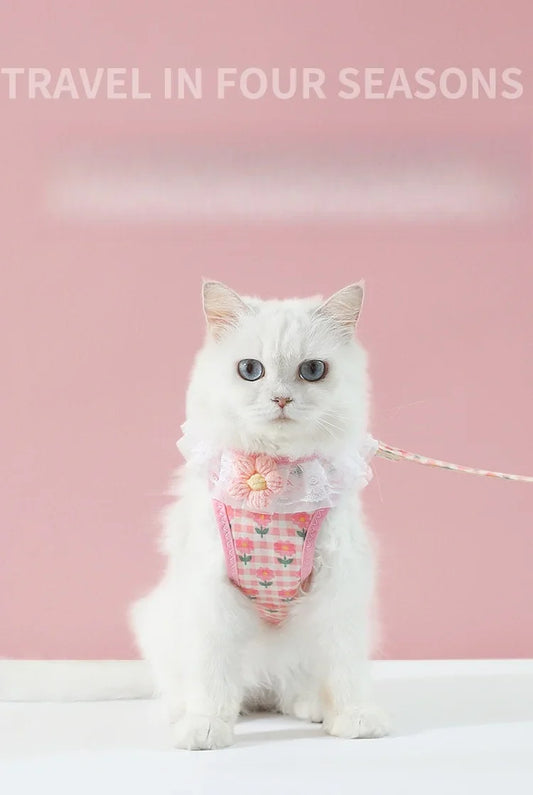 Floral Lace Pet Harness Set