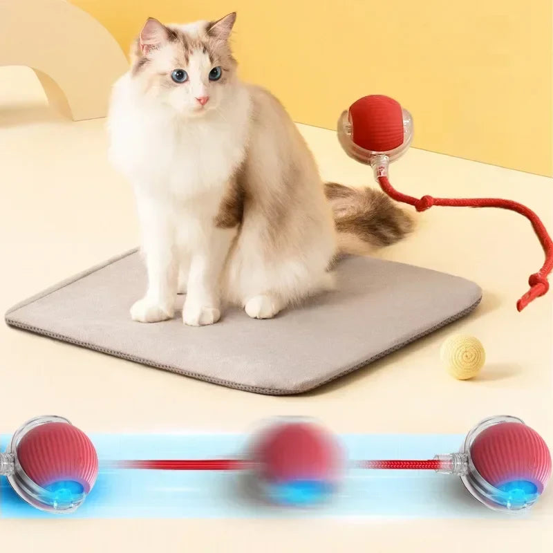 Smart Rolling Ball Cat Toy