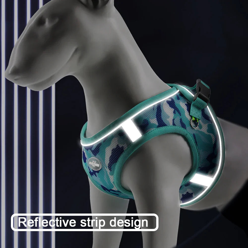 Adjustable Mesh Pet Harness Set