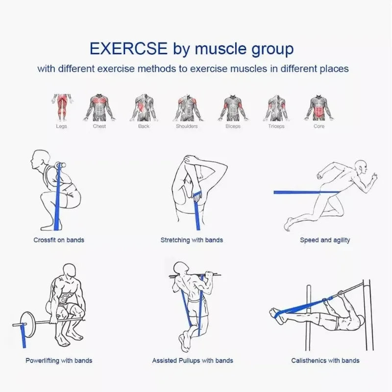 Resistance Bands for Power Workouts