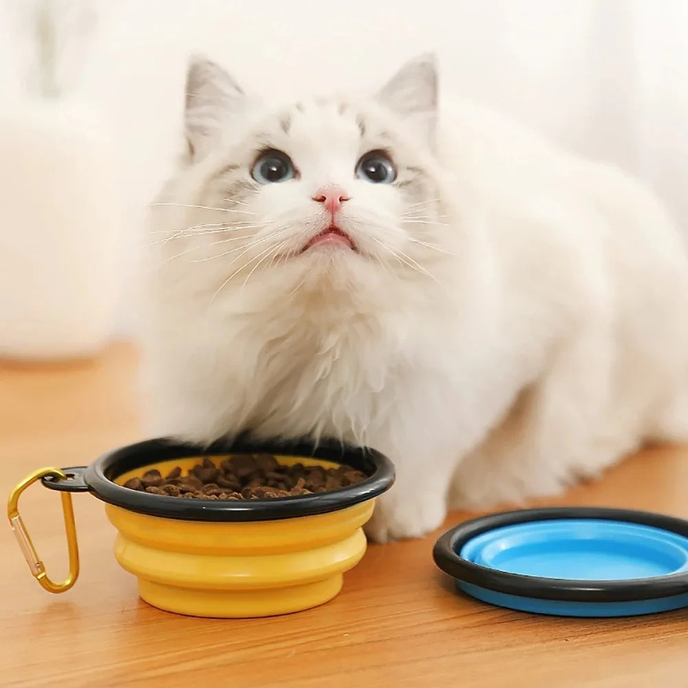 Portable Folding Silicone Pet Bowl
