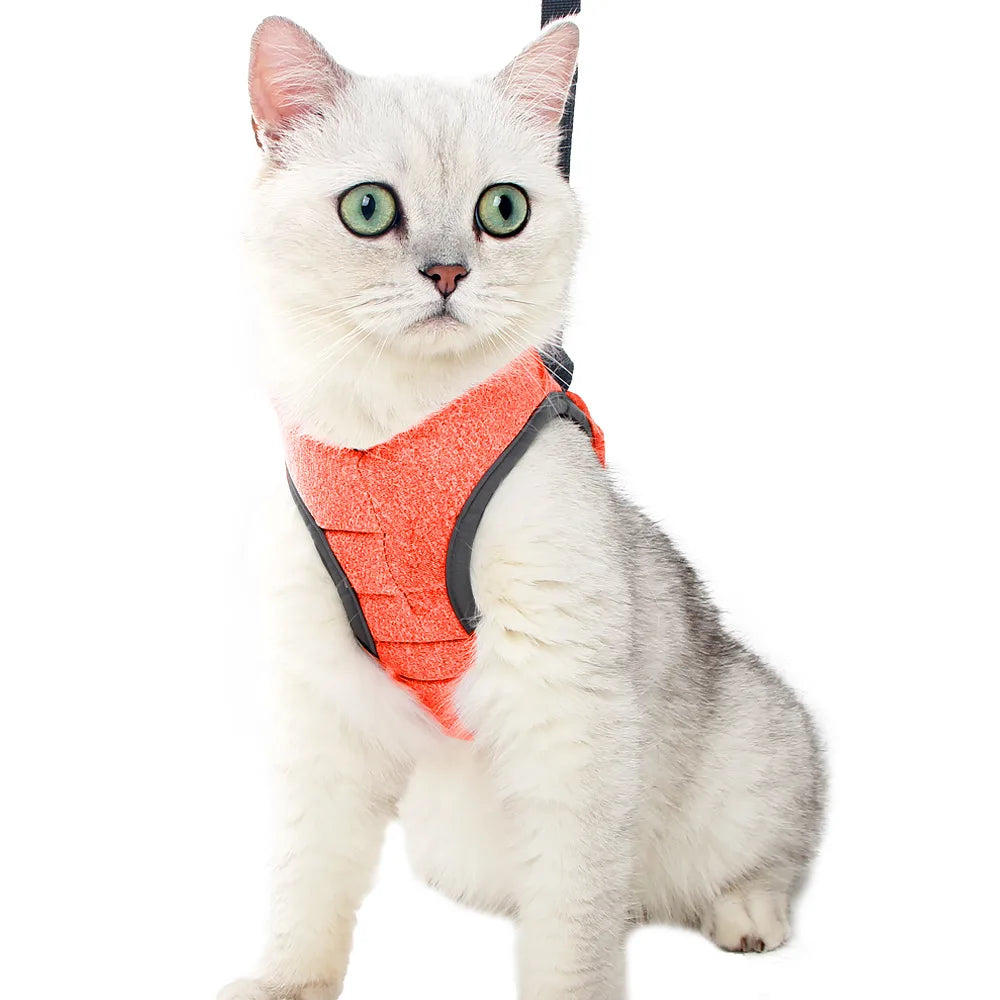 Adjustable Kitten Walking Harness