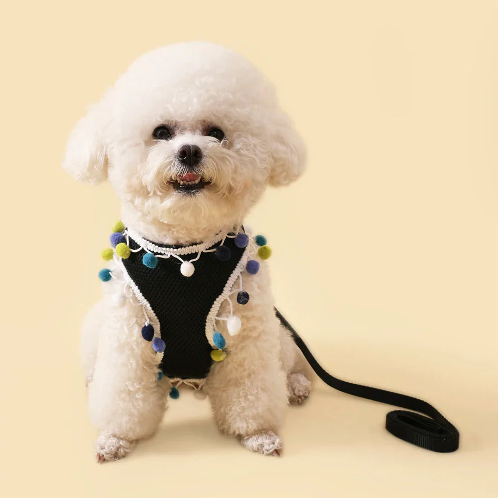 Breathable Cooling Pet Harness Set