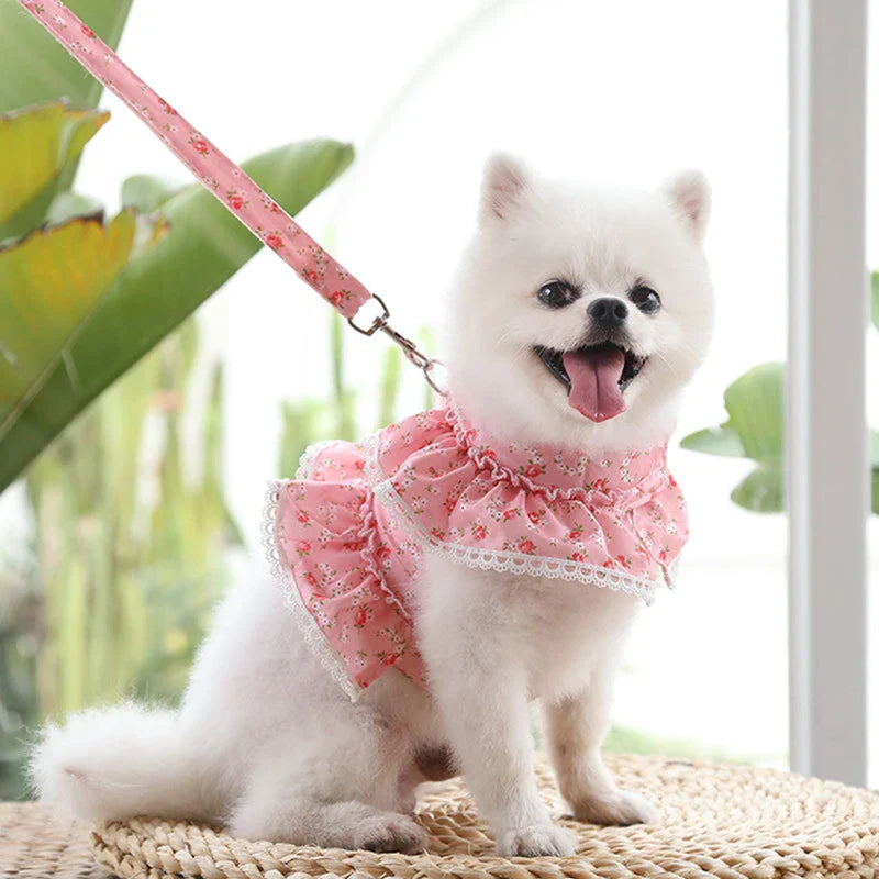 KAJIPET Lace Floral Pet Harness Set