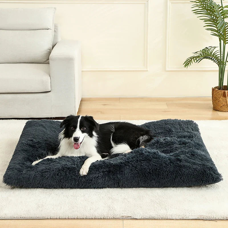 Soft Plush Dog Bed House