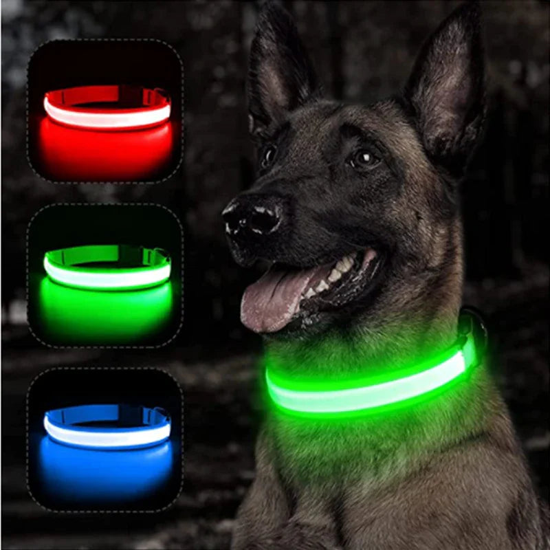 COOYOMOO USB Charging Glowing Dog Collar