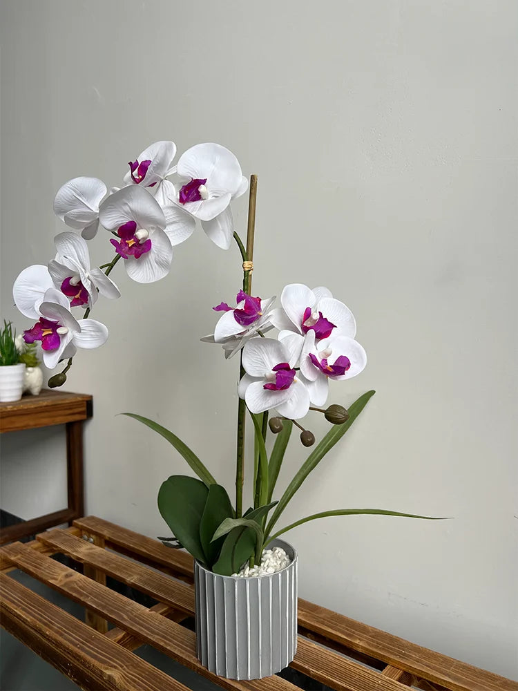 Flower Elegant Faux Orchid Bonsai