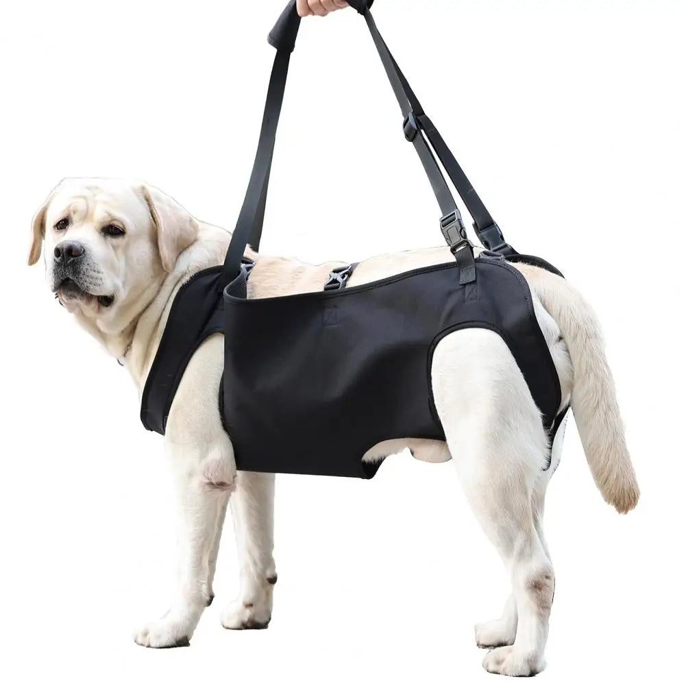 Senior Dog Support Harness