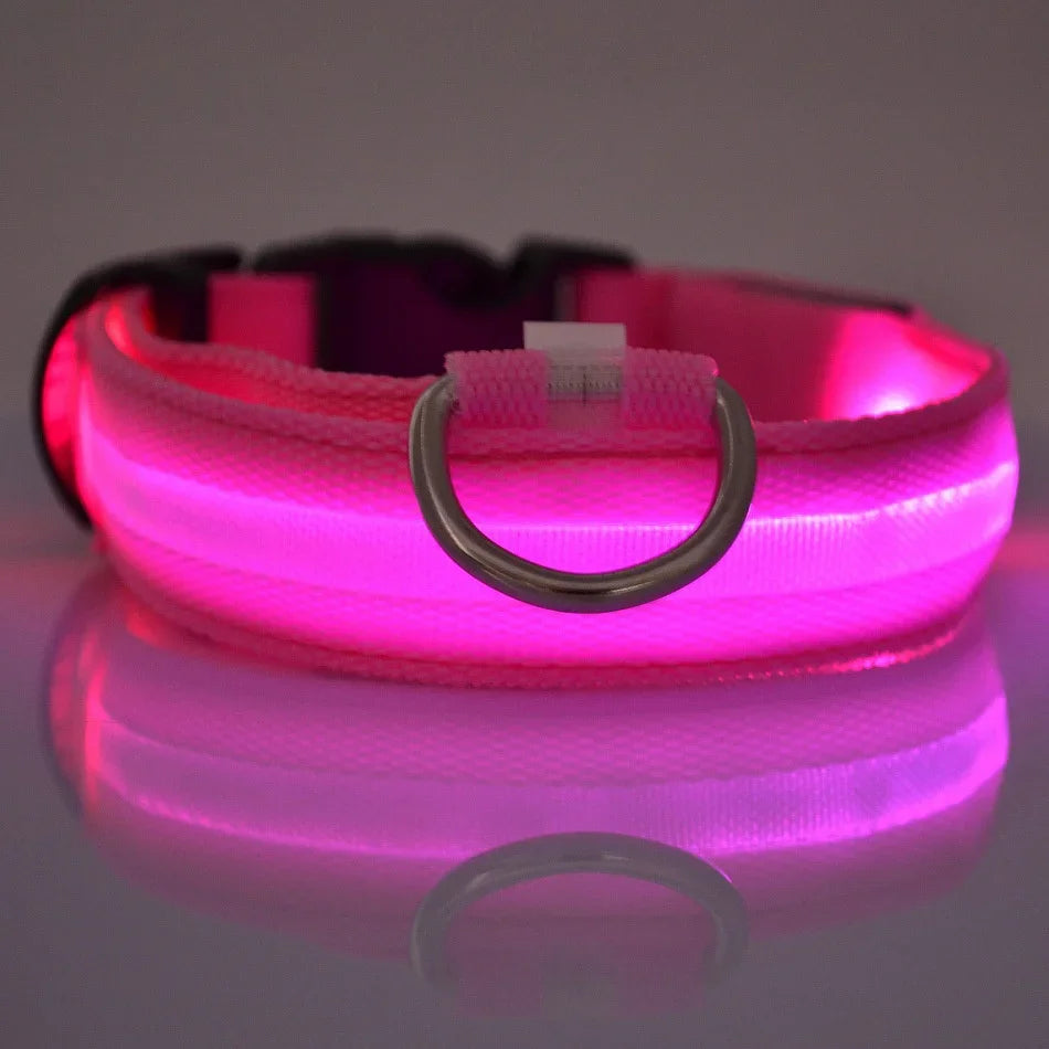 LED Glow Nylon Dog Leash
