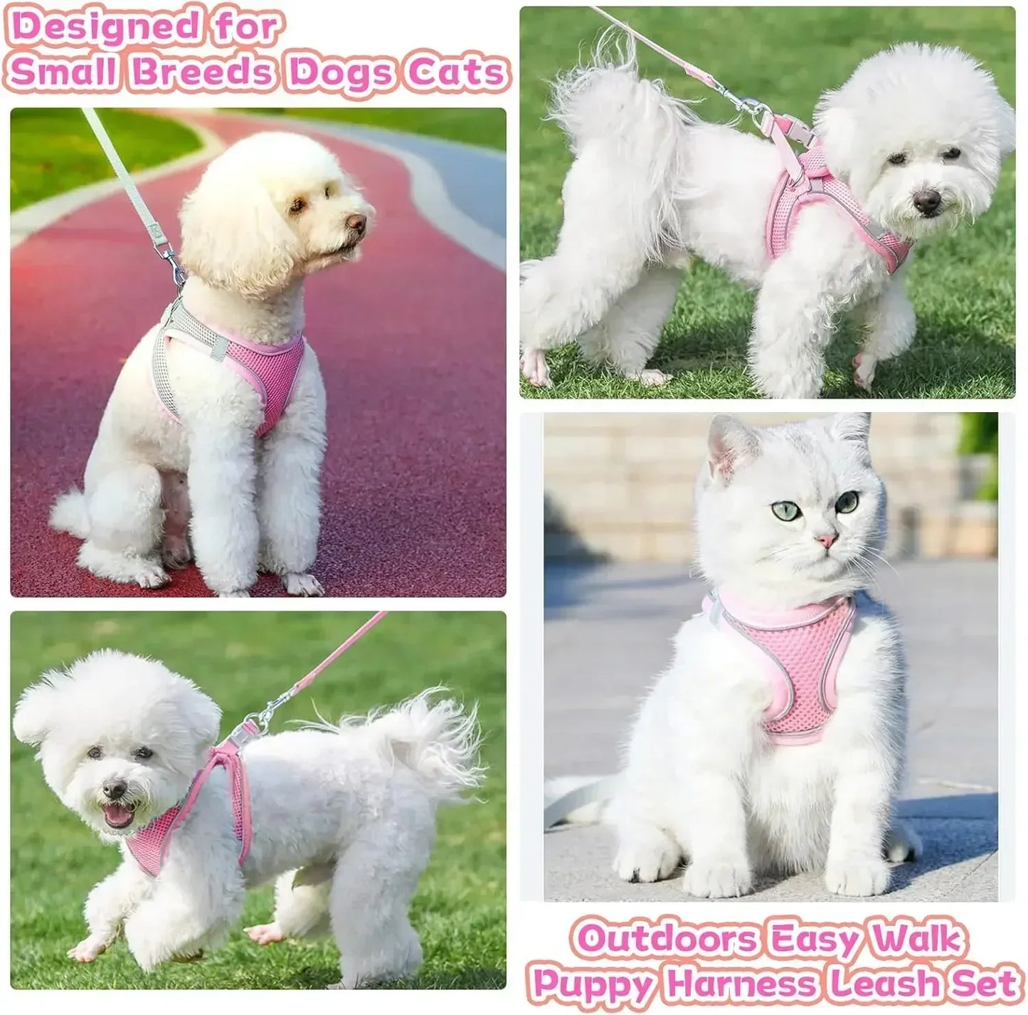Adjustable Puppy Cat Harness Set