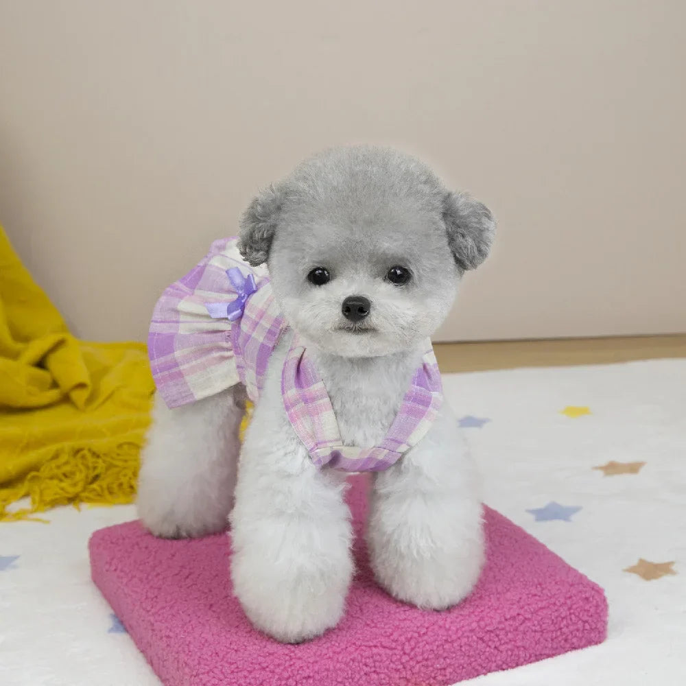 Summer Princess Dog Dress