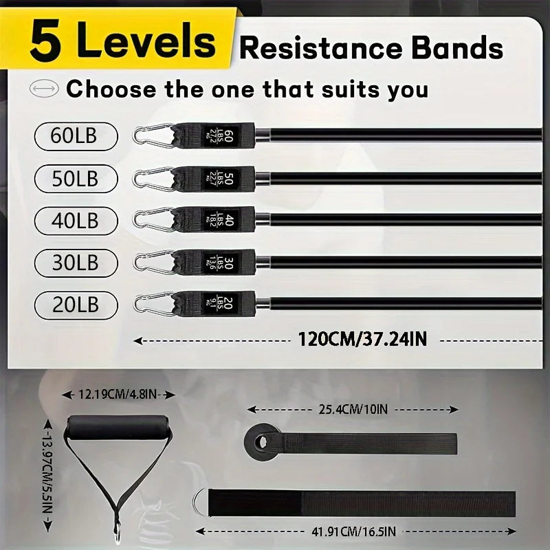 Complete Resistance Bands Training Set