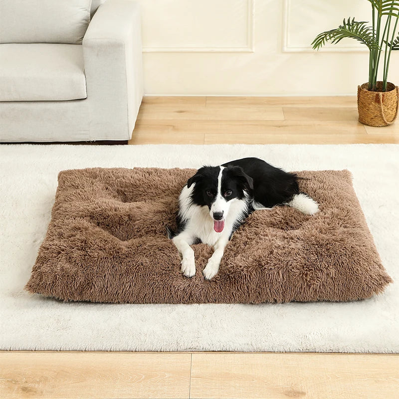 Soft Plush Dog Bed House