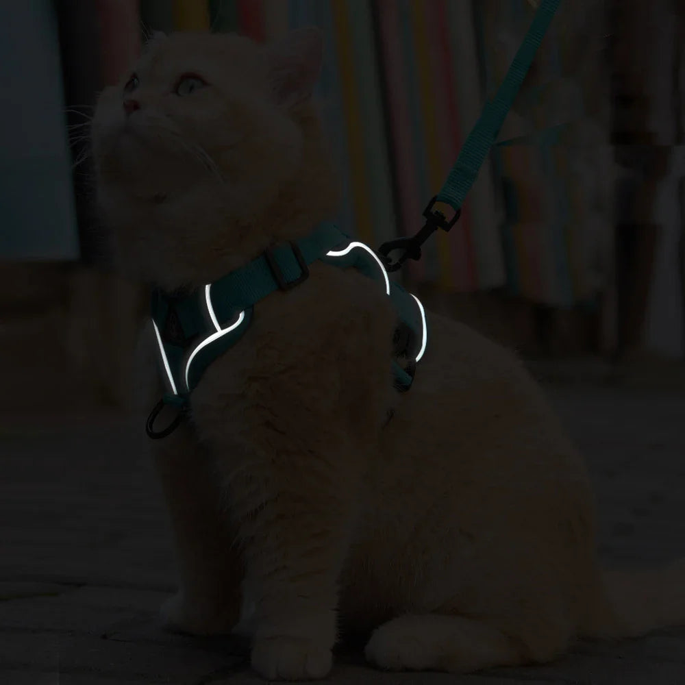 Escape-Proof Reflective Cat Harness