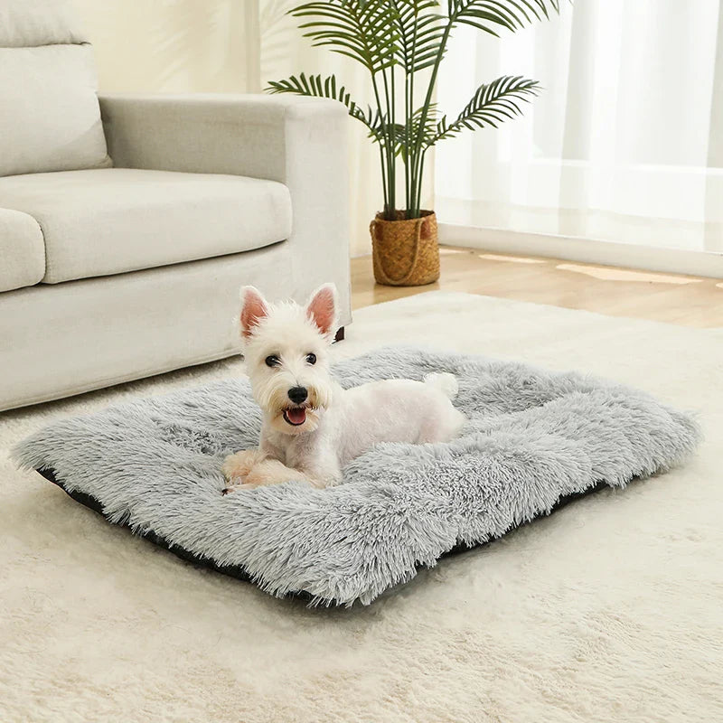 Soft Plush Dog Bed House