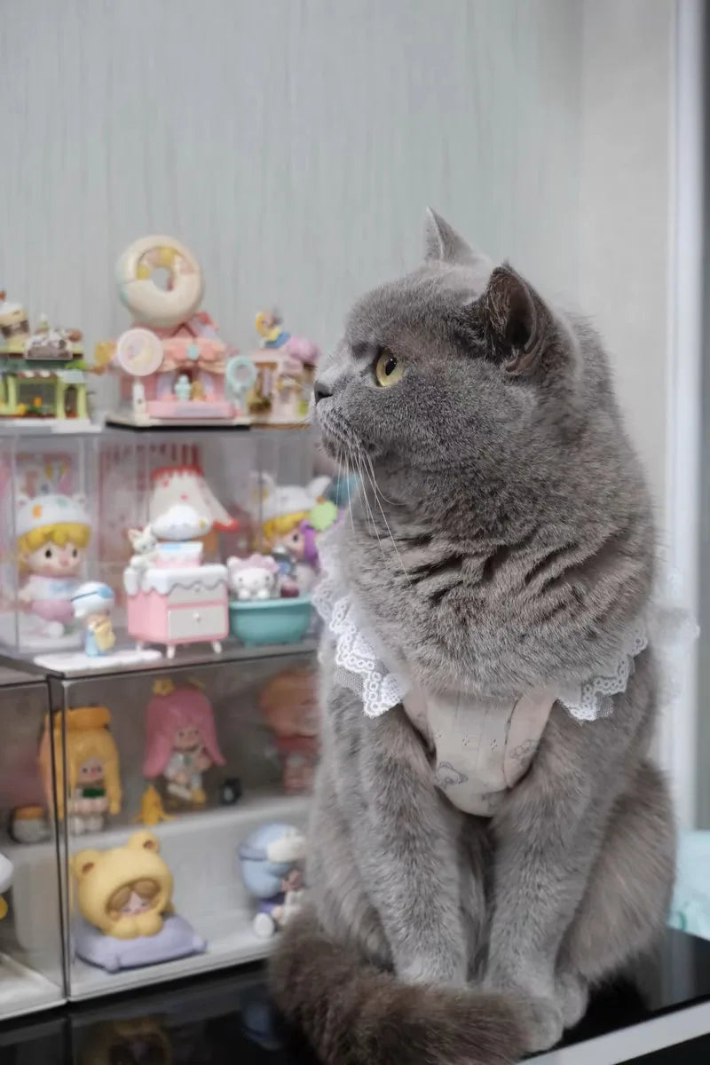 Summer Dog Cat Clothes Cotton