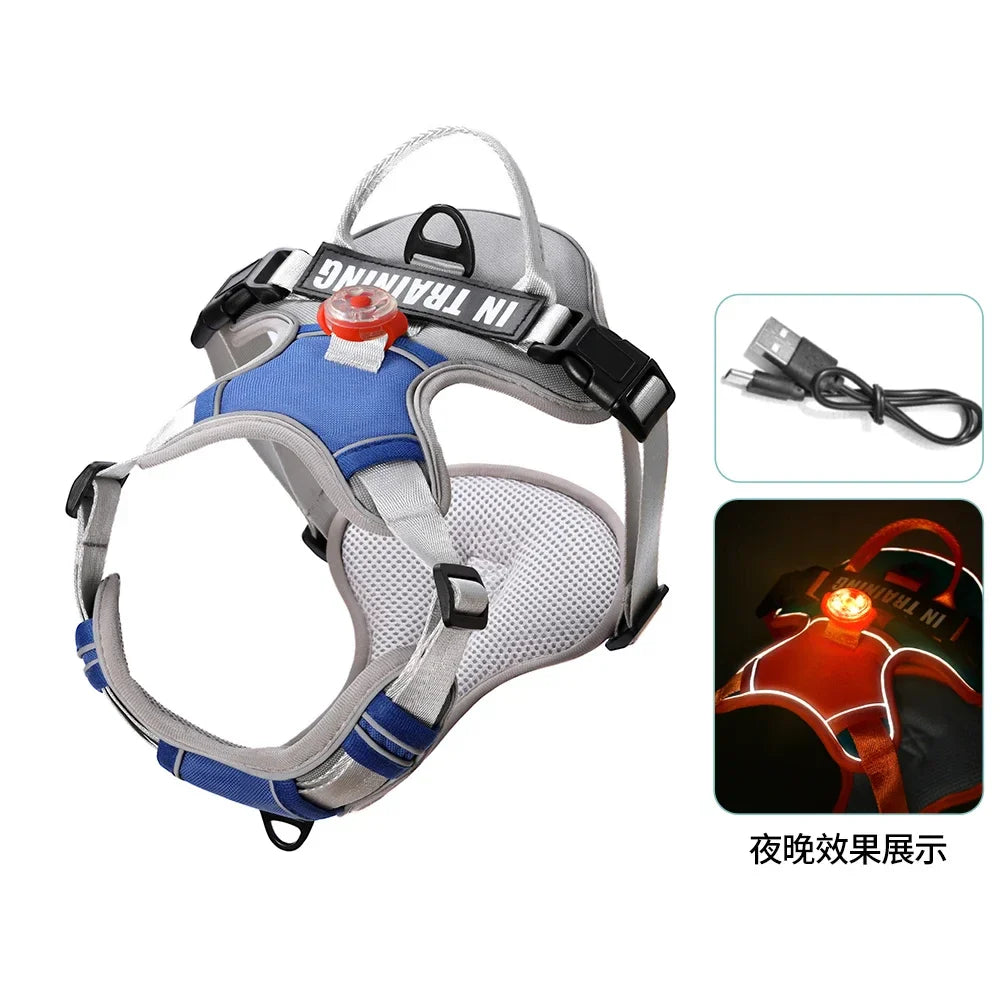 USB Light Dog Harness