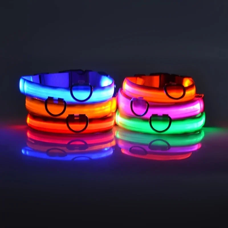 LED Glow Nylon Dog Leash