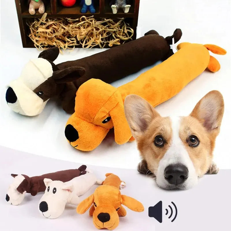 Interactive Squeaky Molar Dog Toy