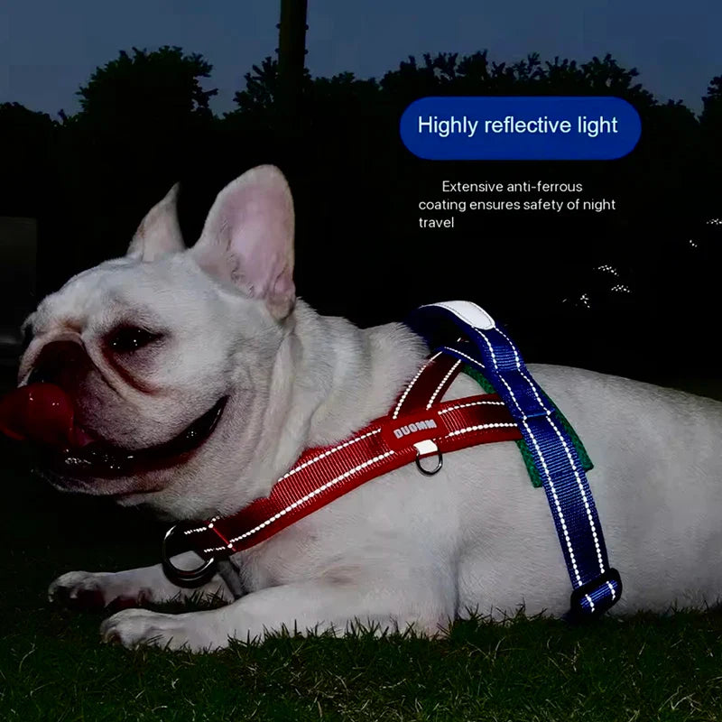 Fashion Saddle Dog Harness