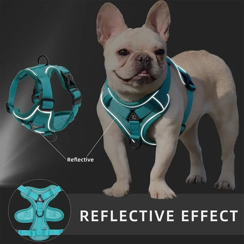 No-Pull Reflective Pet Harness Set