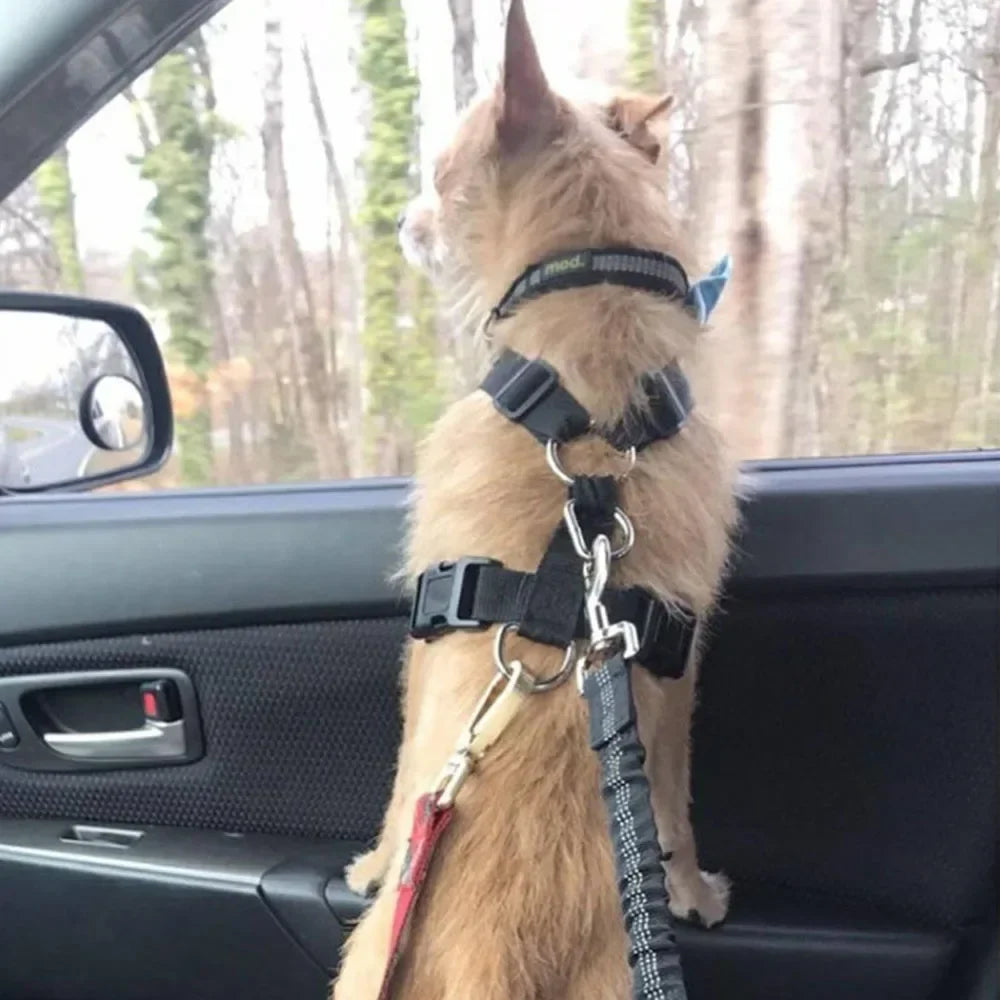 Retractable Dog Car Seat Belt