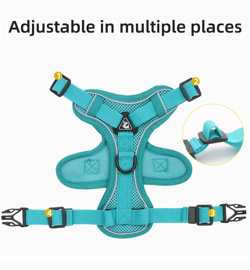 Reflective Mesh Cat Harness Set