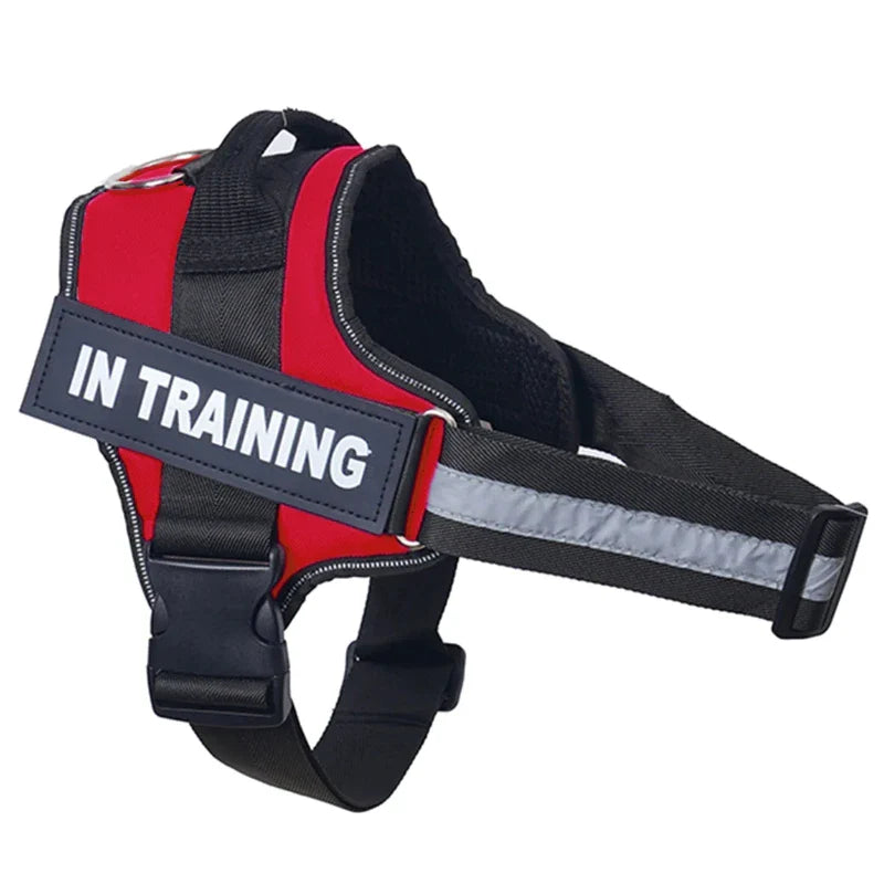Personalized Reflective No-Pull Harness          Ask ChatGPT