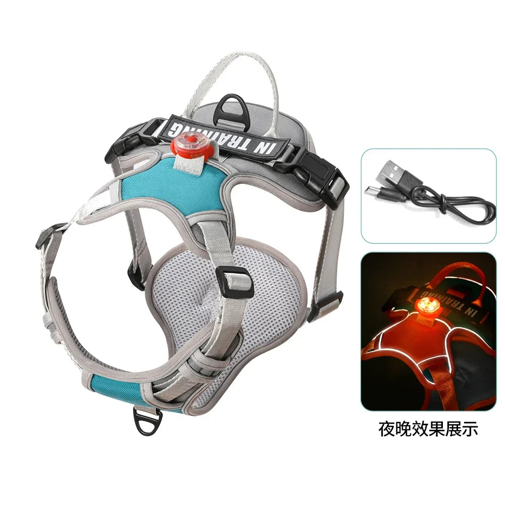 USB Light Dog Harness