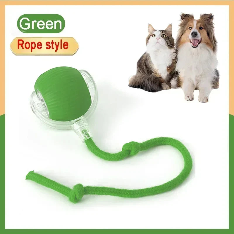 Rechargeable Interactive Cat Ball Toy