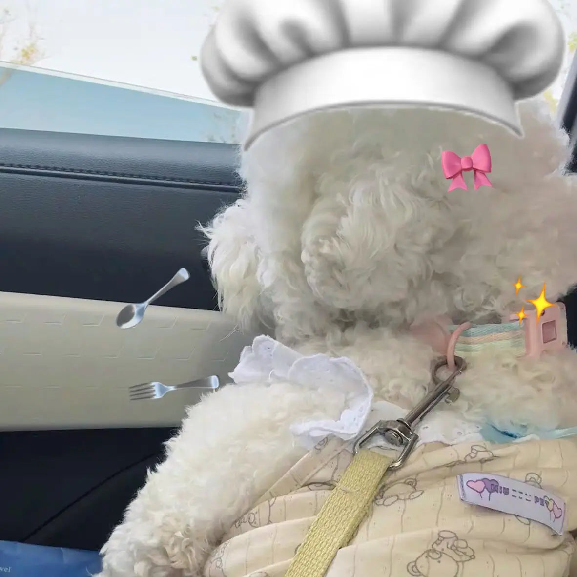 Summer Dog Cat Clothes Cotton