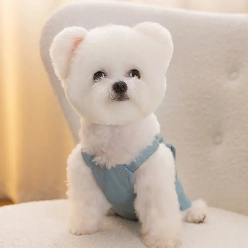 Dog Clothing Suit Puppy Summer Clothes
