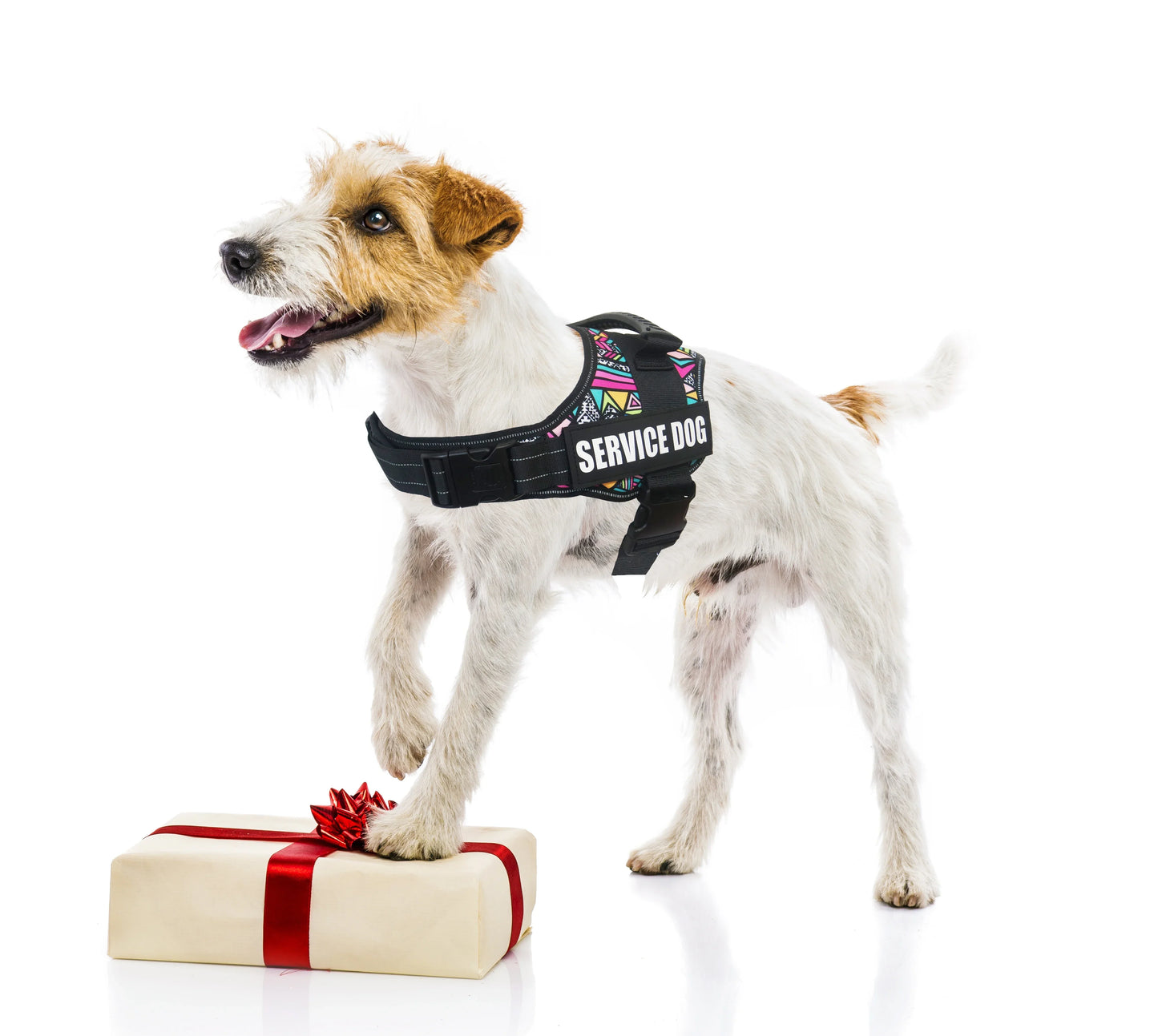 Service Dog Support Harness Vest