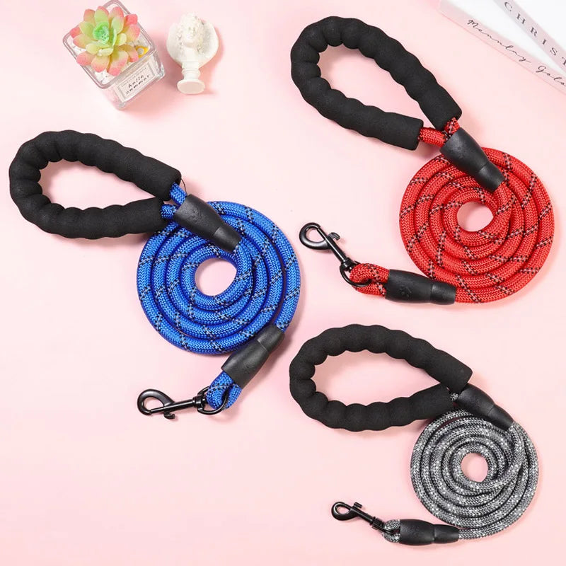 Reflective Dog Leash with Handle